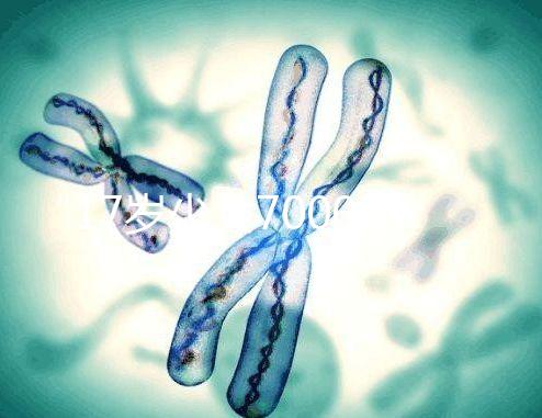 “17歲少女7000元黑市賣卵”刷屏，“疼哭”還不是最可怕的