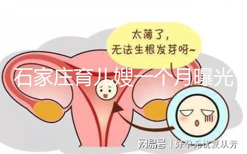 石家莊育兒嫂一個(gè)月曝光多少錢?馬寶:公司級別越高越貴
