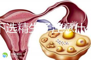 私下選精生子注意什么細(xì)節(jié)要早知,選擇正規(guī)機(jī)構(gòu)最重要