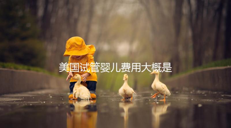 美國試管嬰兒費(fèi)用大概是多少,試管嬰兒可以選擇男女性別嗎