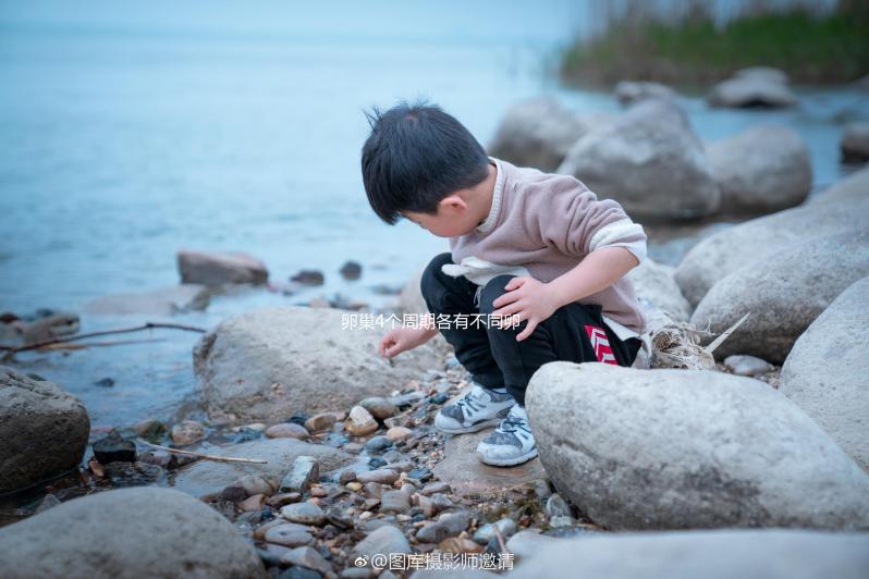 卵巢4個(gè)周期各有不同卵泡監(jiān)測發(fā)育情況要找準(zhǔn)時(shí)間