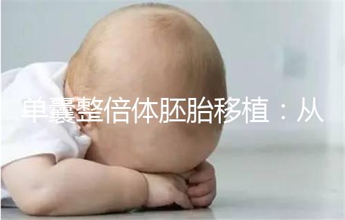 單囊整倍體胚胎移植:從根本上決定試管成功率