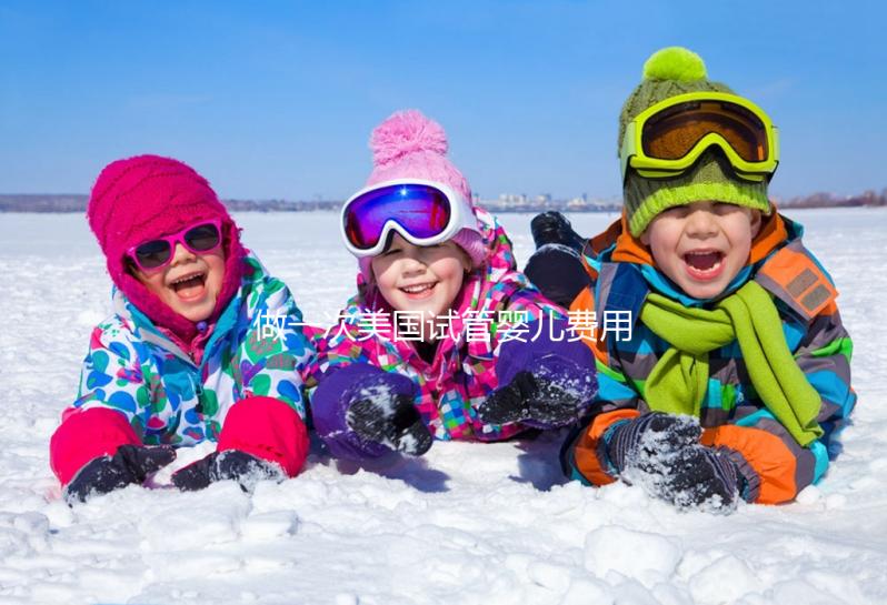 做一次美國試管嬰兒費用大概要多少?2025年試管收費標準一覽