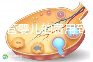 做試管嬰兒的費用到底要多少