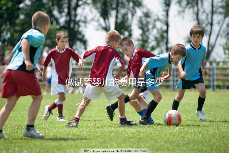 做試管嬰兒的費用是多少