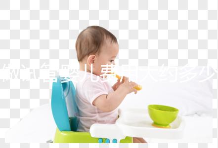 做試管嬰兒費(fèi)用大約多少錢？