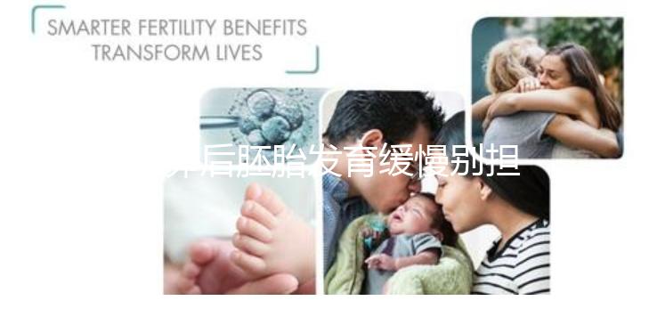 取卵后胚胎發育緩慢別擔心!這么做試管成功率翻倍