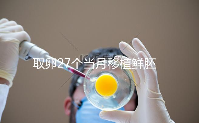 取卵27個當月移植鮮胚別想了，成功率低不說當心全軍覆沒