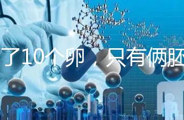 取了10個(gè)卵，只有倆胚胎？卵都去哪了？