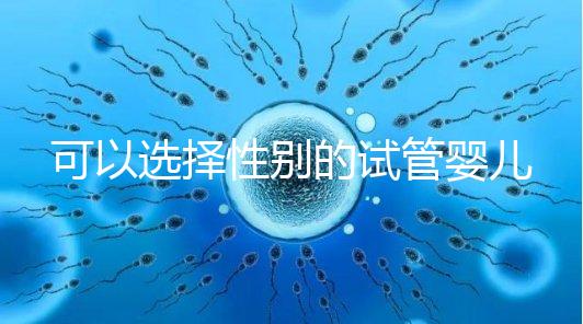可以選擇性別的試管嬰兒多少錢(qián)(試管嬰兒女方遭罪嗎)