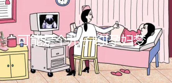 可能是個兒子喲!孕婦夢見海龜相關胎夢解析