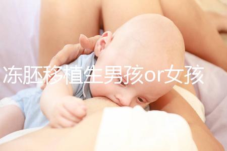 凍胚移植生男孩or女孩機(jī)率真不同，哪個大請看數(shù)據(jù)說話