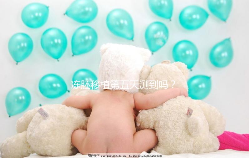 凍胚移植第五天測到嗎？肚子脹or腰疼這些感覺暗示著床了