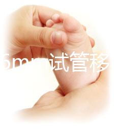 內膜16mm試管移植能否著床速覽，可否移植看身體情況