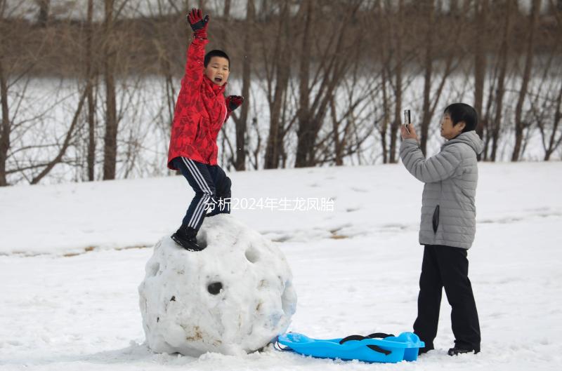 分析2024年生龍鳳胎女性的面部特征，結合手掌準確率超過一半