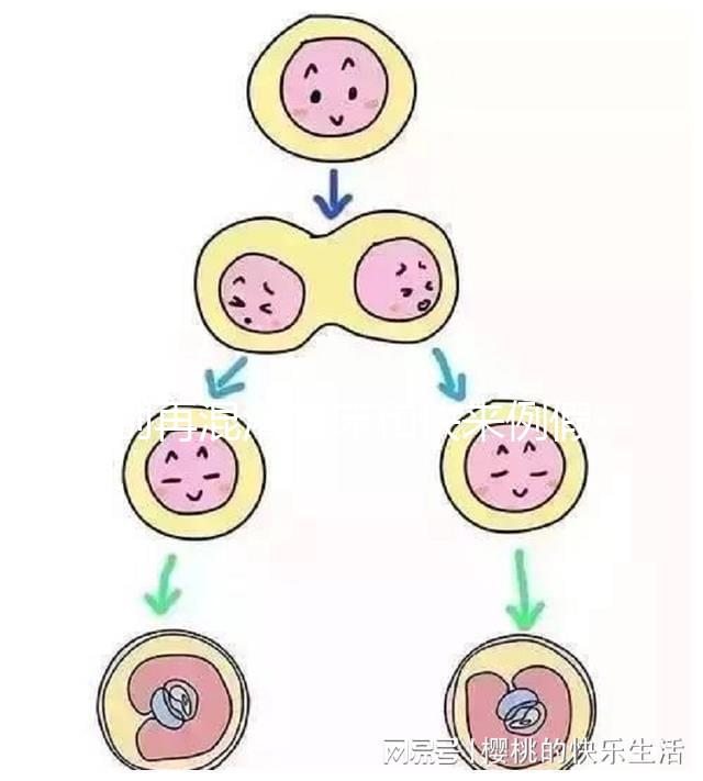 別再混淆著床和快來(lái)例假了,除了出血量還有這些區(qū)別