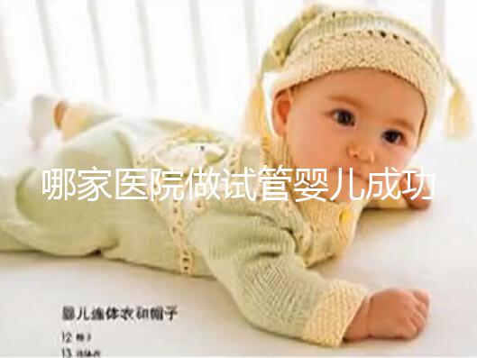 哪家醫(yī)院做試管嬰兒成功率高?2025年熱門試管醫(yī)院大盤點!