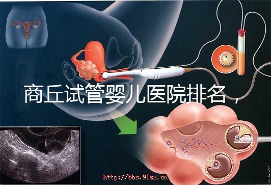 商丘試管嬰兒醫(yī)院排名，附3家公立機(jī)構(gòu)助孕成功率和費(fèi)用
