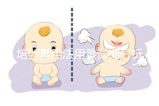 培卵素用法用量詳細分析，不同情況服用時間有差異