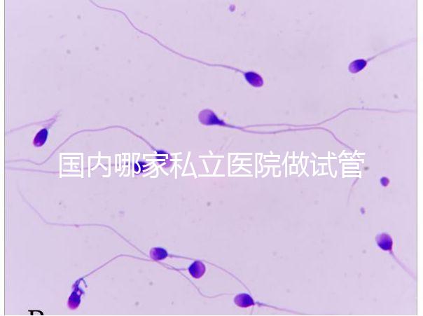 國內哪家私立醫院做試管嬰兒好?統計正規私立試管醫院排名