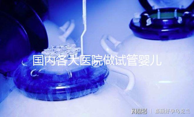 國內(nèi)各大醫(yī)院做試管嬰兒多少錢一次
