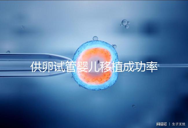 供卵試管嬰兒移植成功率高，一次就能成？很多人都被坑過