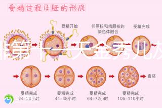 促排第十一天金秀兒灰印、白板均有希望，抽血hcg2懷孕懸