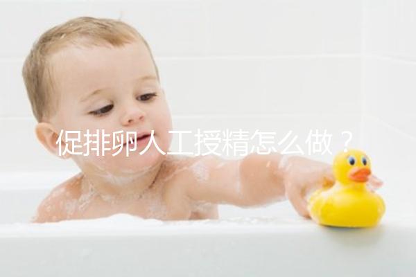 促排卵人工授精怎么做？4步操作過程戳這里了解