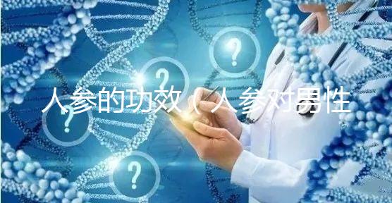 人參的功效（人參對(duì)男性性功能有效嗎）