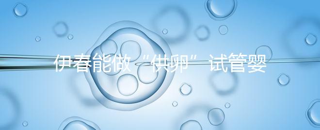 伊春能做“供卵”試管嬰兒嗎？你們想知道的答案在這里