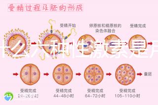 為什么六種性激素是月經第二