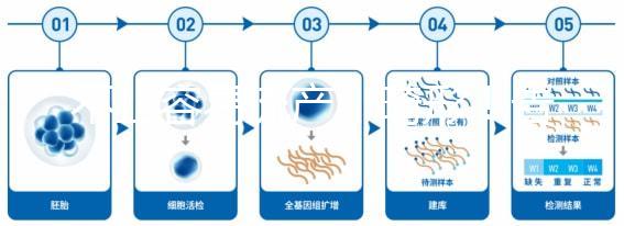 不止容易流產、畸形！告訴你為什么絕經以后不能生孩子