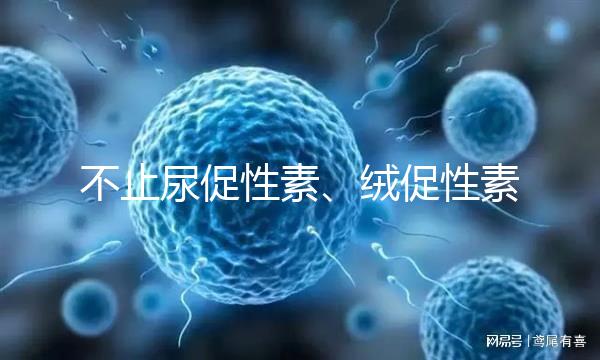 不止尿促性素、絨促性素！試管嬰兒促排卵針還有這些牌子