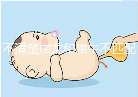 不清楚屬龍和屬牛不匹配戳，再一起看財運就夠了