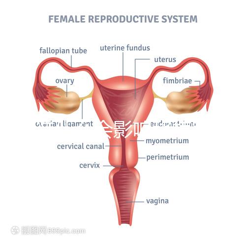 不造什么會影響移植窗口期的結果戳，時間不對著床懸乎