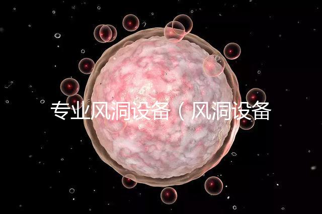 專業(yè)風洞設(shè)備(風洞設(shè)備廠家)