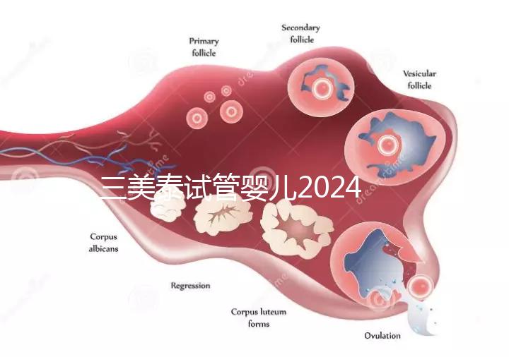 三美泰試管嬰兒2024年的成功率還能更高嗎？
