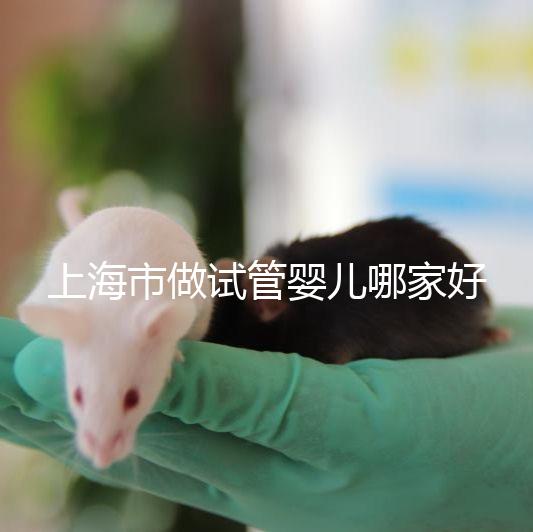 上海市做試管嬰兒哪家好？2025年權威醫院排名與成功率詳細對比