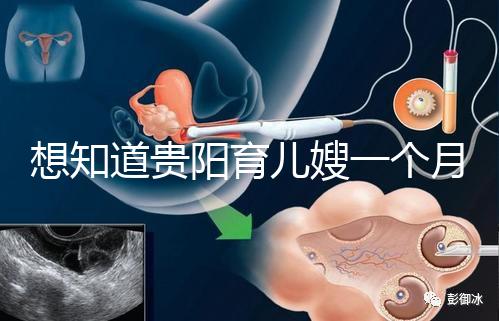 想知道貴陽(yáng)育兒嫂一個(gè)月戳多少錢,云巖2萬(wàn)夠不夠