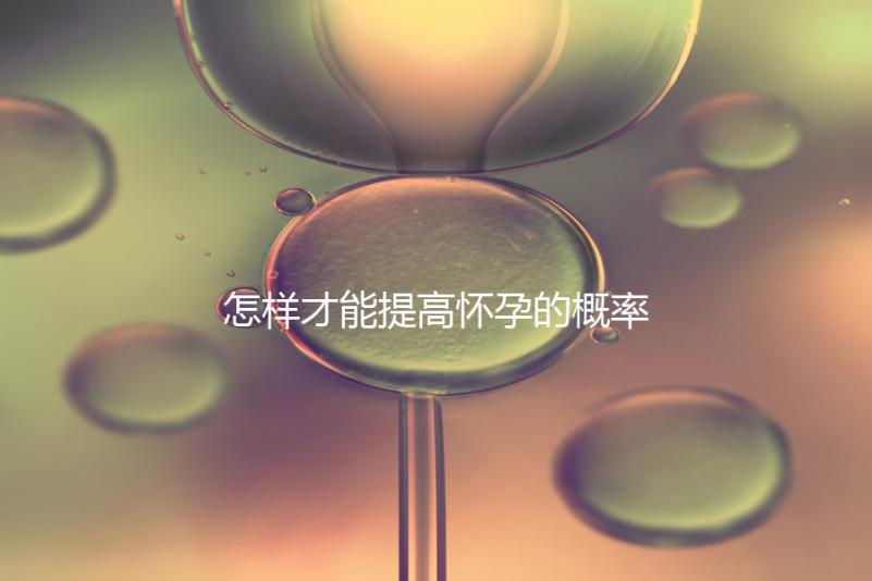 怎樣才能提高懷孕的概率？
