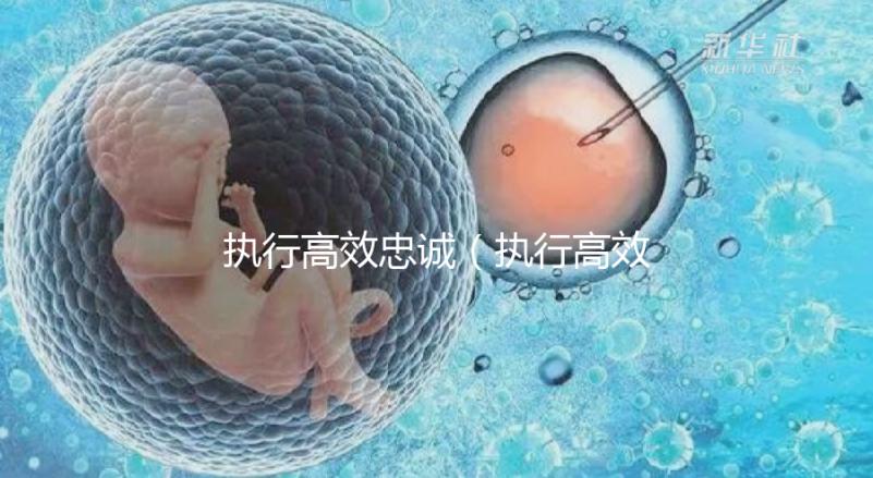 執(zhí)行高效忠誠(執(zhí)行高效忠誠的成語)