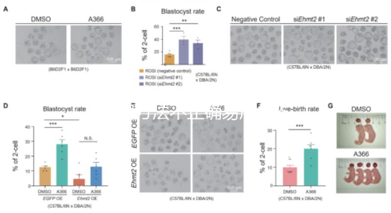 服用方法不正確易產(chǎn)生不良反應?利維愛的副作用解析