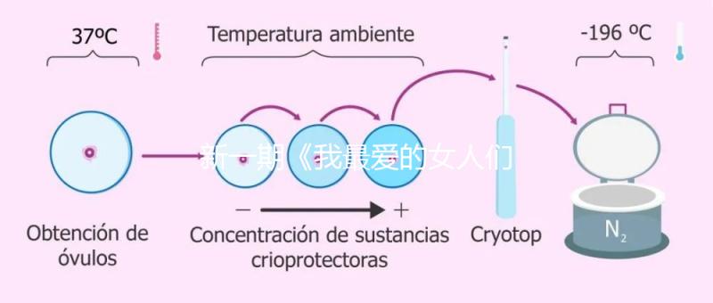 新一期《我最愛(ài)的女人們》,蔡少芬自曝第一胎曾小產(chǎn)