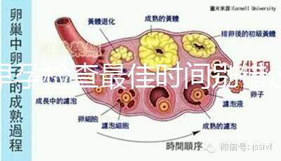 早孕檢查最佳時間別錯過，事關(guān)寶寶健康不可馬虎大意