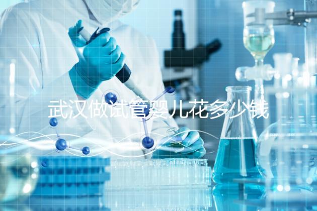 武漢做試管嬰兒花多少錢?