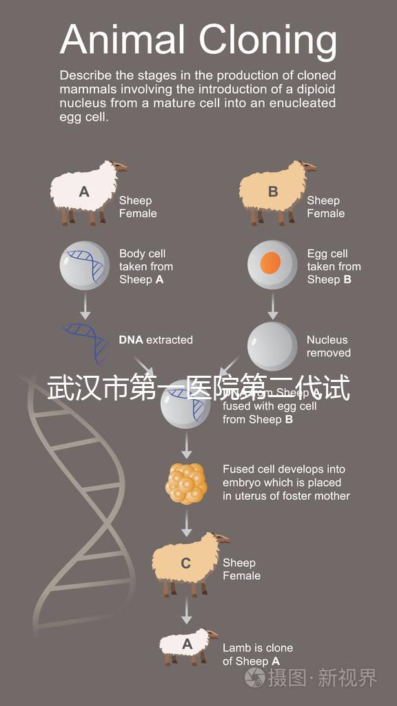 武漢市第一醫(yī)院第二代試管怎么樣？2024年助孕成功率數(shù)據(jù)公布