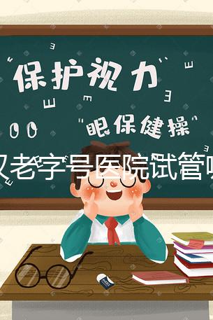 武漢老字號醫(yī)院試管哪個醫(yī)生好？2025助孕成功率高的大夫參考