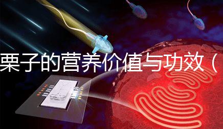 栗子的營養價值與功效（水果栗子的營養價值與功效）