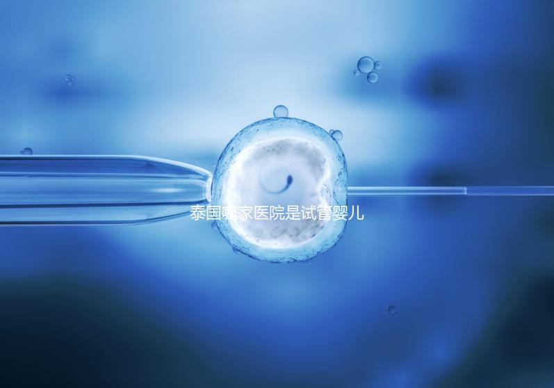 泰國哪家醫(yī)院是試管嬰兒最強(qiáng)大的醫(yī)院?這五家公司最受歡迎