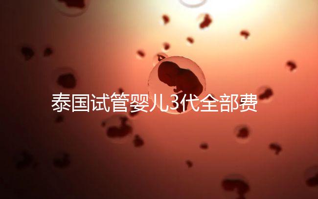 泰國試管嬰兒3代全部費用大概是多少？